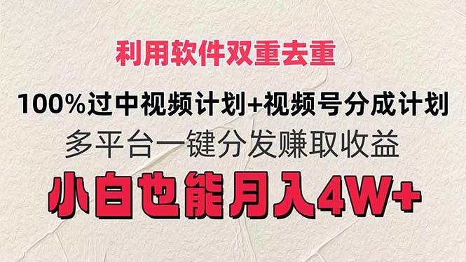 利用软件双重去重，100%过中视频+视频号分成计划小白也可以月入4W+-网赚资源网