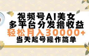 视频号AI美女,轻松月入30000+,操作简单轻松上手-网赚资源网