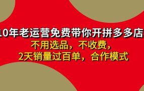 拼多多 最新合作开店日收4000+两天销量过百单，无学费、老运营代操作、...-网赚资源网