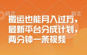 搬运也能月入过万，最新平台分成计划，一万播放一百米，一分钟一个作品-网赚资源网
