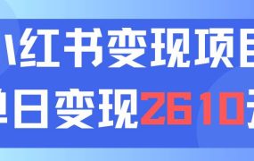 利用小红书卖资料单日引流150人当日变现2610元小白可实操（教程+资料）-网赚资源网