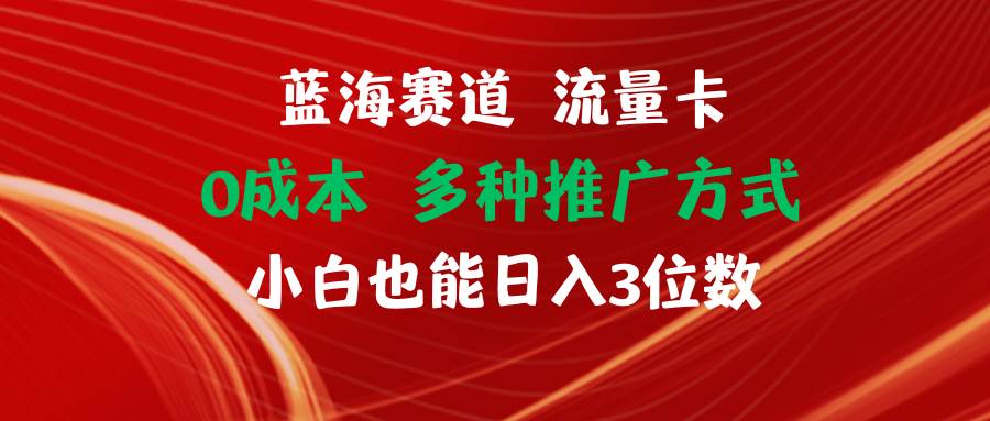 蓝海赛道 流量卡 0成本 小白也能日入三位数-网赚资源网