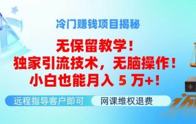 冷门赚钱项目无保留教学！独家引流技术，无脑操作！小白也能月入5万+！-网赚资源网