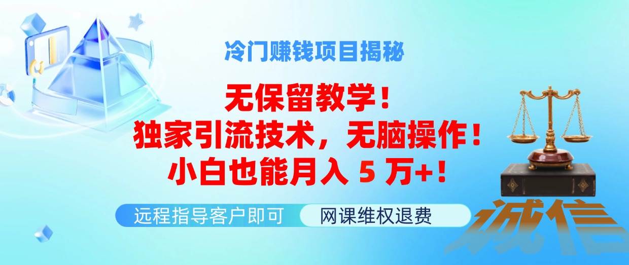 冷门赚钱项目无保留教学！独家引流技术，无脑操作！小白也能月入5万+！-网赚资源网