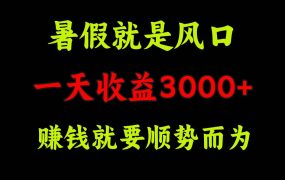 一天收益3000+ 赚钱就是顺势而为,暑假就是风口-网赚资源网