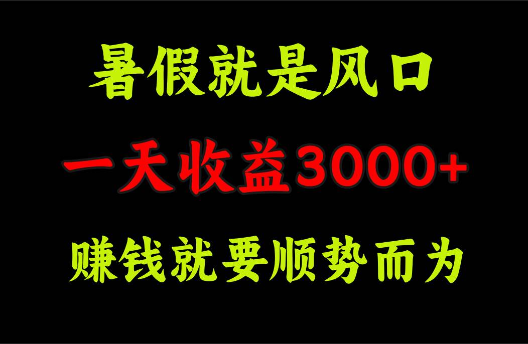 一天收益3000+ 赚钱就是顺势而为，暑假就是风口-网赚资源网