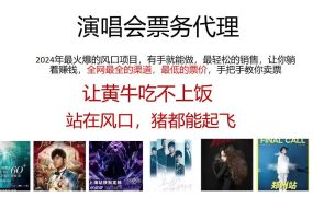 演唱会全网最低票务代理，小白一分钟上手，手把手教你卖票，日入2000+...-网赚资源网