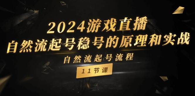 2024游戏直播-自然流起号稳号的原理和实战，自然流起号流程（11节）-网赚资源网