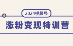 2024视频号-涨粉变现特训营:一站式打造稳定视频号涨粉变现模式(10节)-网赚资源网