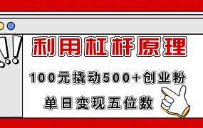 利用杠杆100元撬动500+创业粉,单日变现5位数-网赚资源网