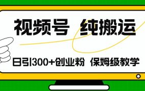 视频号纯搬运日引流300+创业粉,日入4000+-网赚资源网