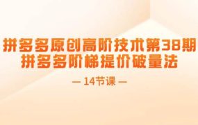 拼多多原创高阶技术第38期，拼多多阶梯提价破量法（14节课）-网赚资源网