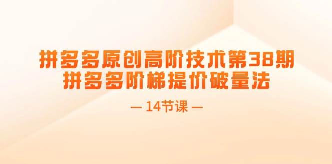 拼多多原创高阶技术第38期，拼多多阶梯提价破量法（14节课）-网赚资源网