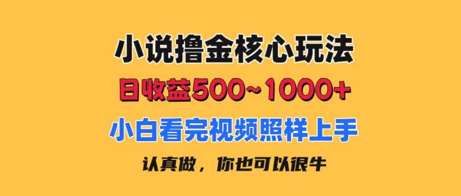 小说撸金核心玩法，日收益500-1000+，小白看完照样上手，0成本有手就行-网赚资源网