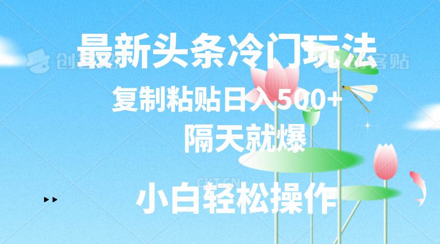 最新头条冷门玩法，隔天就爆，复制粘贴日入500+-网赚资源网
