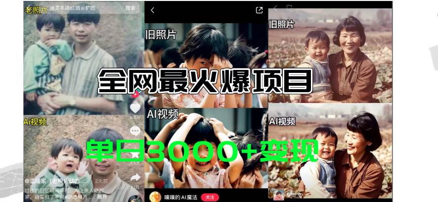 全网爆火的AI让老照片动起来教程，蹭热点日赚3000+，内含免费工具一键…-网赚资源网
