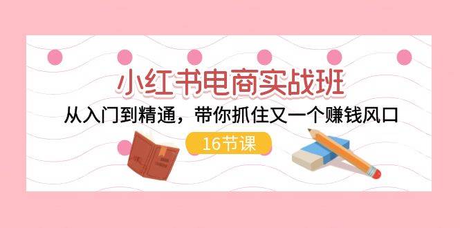 小红书电商实战班，从入门到精通，带你抓住又一个赚钱风口（16节）-网赚资源网