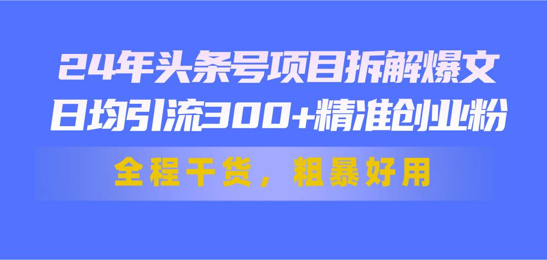 24年头条号项目拆解爆文，日均引流300+精准创业粉，全程干货，粗暴好用-网赚资源网