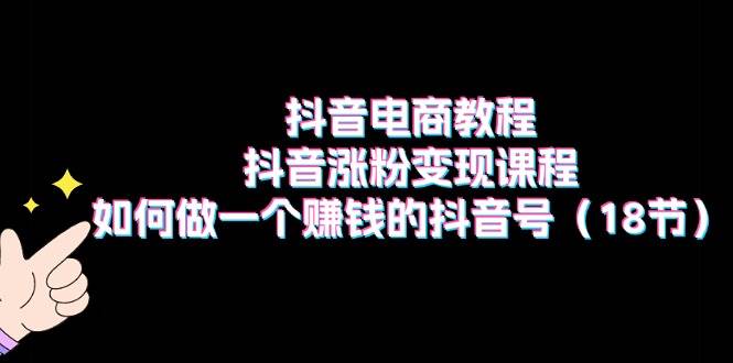 抖音电商教程：抖音涨粉变现课程：如何做一个赚钱的抖音号（18节）-网赚资源网