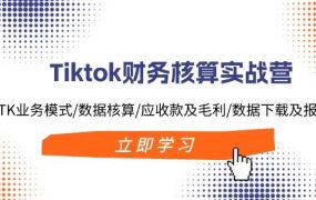 Tiktok财务核算实战营:TK业务模式/数据核算/应收款及毛利/数据下载及报表-网赚资源网