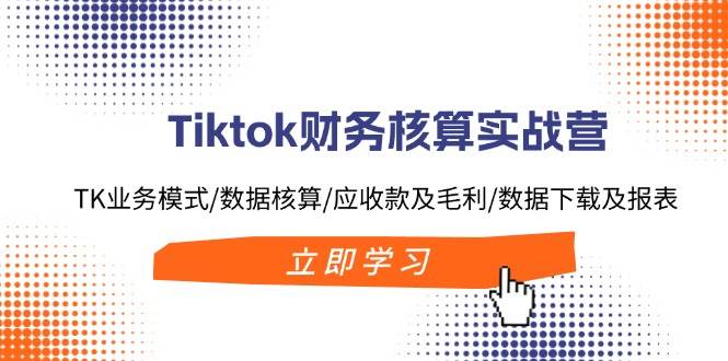 Tiktok财务核算实战营：TK业务模式/数据核算/应收款及毛利/数据下载及报表-网赚资源网