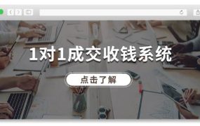 1对1成交 收钱系统，十年专注于引流和成交，全网130万+粉丝-网赚资源网