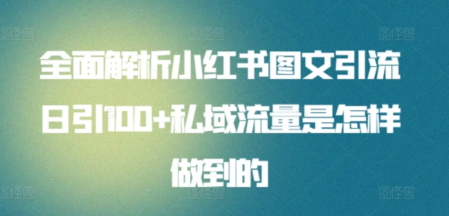 全面解析小红书图文引流日引100私域流量是怎样做到的-网赚资源网