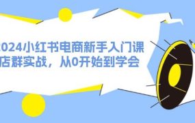 2024小红书电商新手入门课，店群实战，从0开始到学会（31节）-网赚资源网