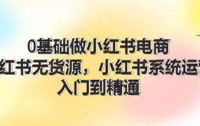 0基础做小红书电商，小红书无货源，小红书系统运营，入门到精通 (70节)-网赚资源网