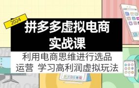拼多多虚拟电商实战课：虚拟资源选品+运营，高利润虚拟玩法（更新14节）-网赚资源网