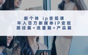 新个体 ip变现课,年入百万新媒体IP变现,路径篇+流量篇+产品篇-网赚资源网