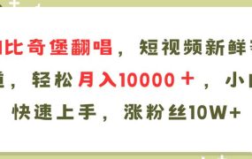 AI比奇堡翻唱歌曲,短视频新鲜赛道,轻松月入10000+,小白快速上手,...-网赚资源网