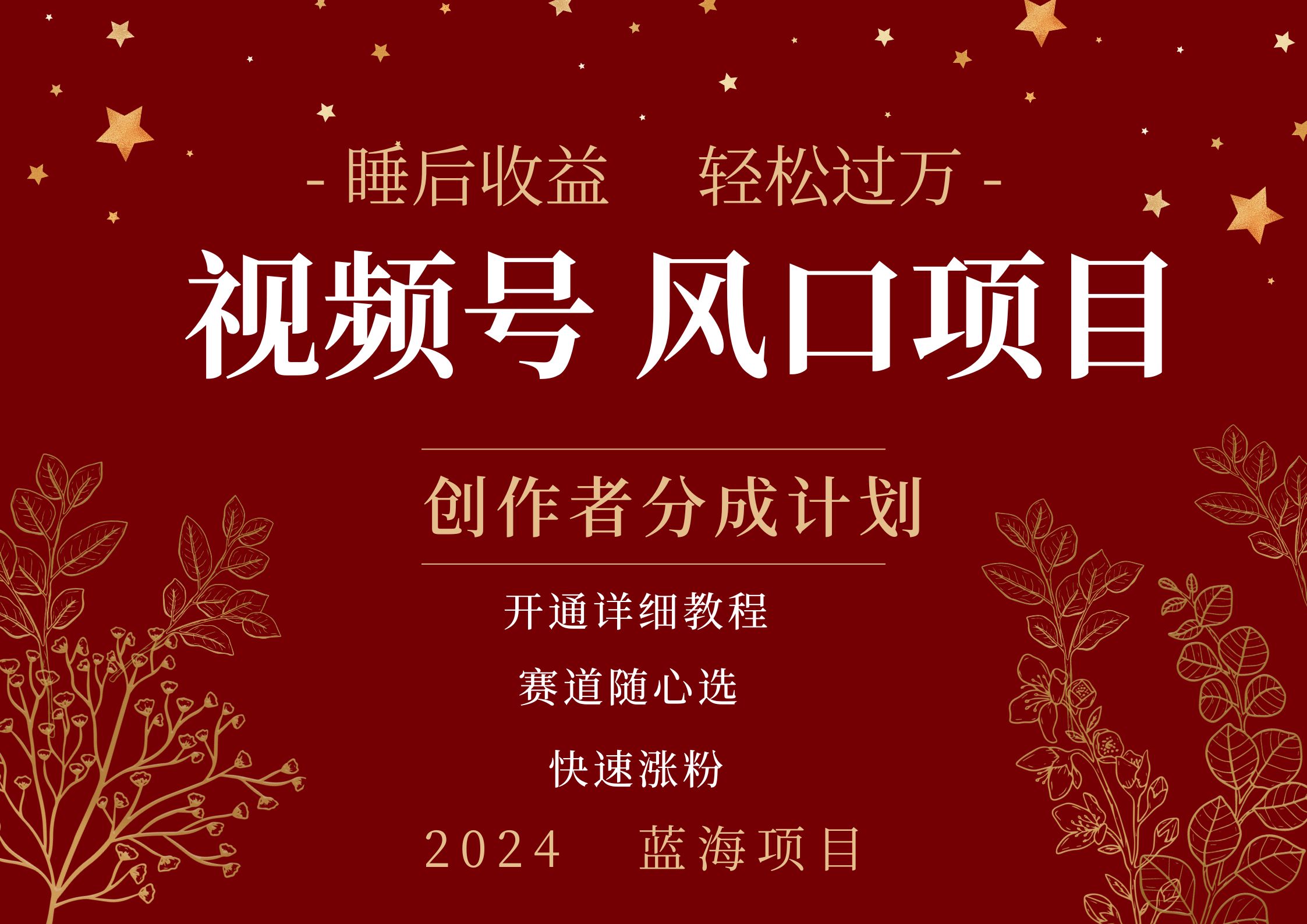 拥有睡眠收益的微信视频号大风口项目,轻松月入过万+,多赛道选择,可矩阵,玩法简单轻松上手-网赚副业网