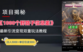 抖音一千个野路子信息差最新玩法教程-变现+引流的玩法具体拆解-网赚资源网