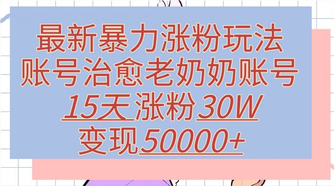 最新暴力涨粉玩法,治愈老奶奶账号,15天涨粉30W,变现50000+【揭秘】-网赚副业网