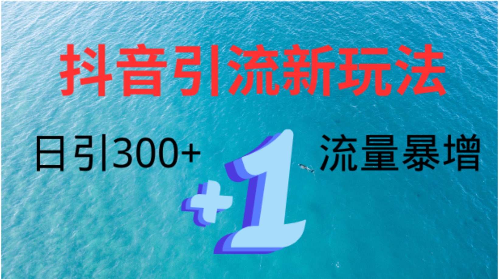 创业粉高效引流,抖音工具号玩法4.0,日引300+-网赚副业网