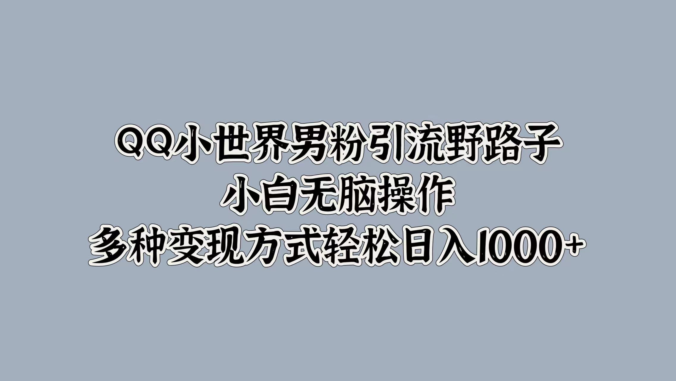 QQ小世界男粉引流野路子，小白无脑操作，多种变现方式轻松日入1000+-网赚副业网