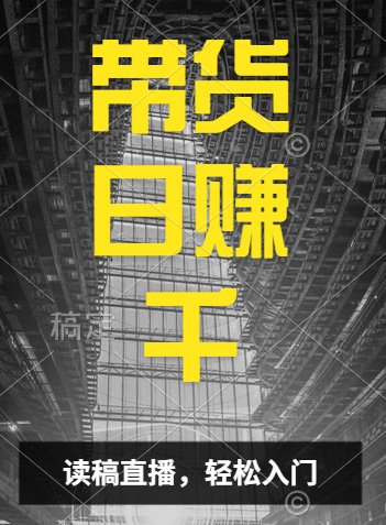 视频号技术直播带货, 会读稿就行,小白日入1000+-网赚副业网