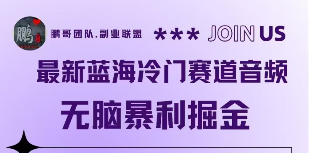 最新蓝海冷门赛道音频,无脑暴利掘金-网赚副业网