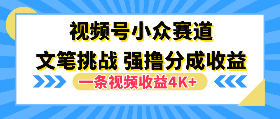 视频号小众赛道，文笔挑战，一条视频收益4K+-网赚副业网