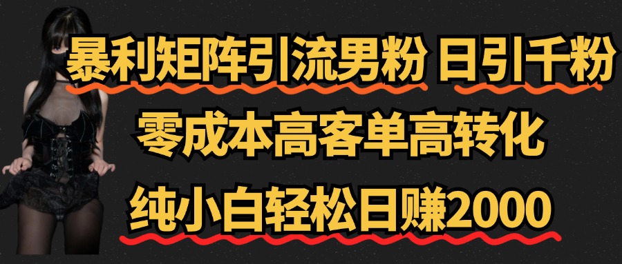 暴利矩阵引流男粉(日引千粉),零成本高客单高转化,纯小白轻松日赚2000+-网赚副业网