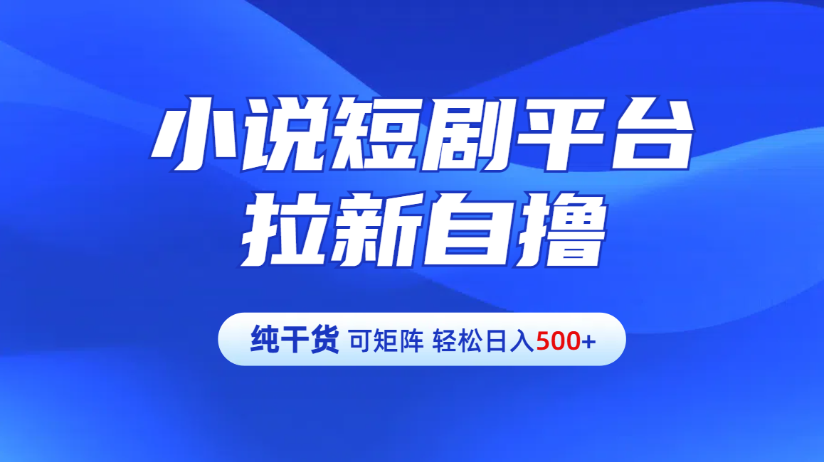 【纯干货】小说短剧平台拉新自撸玩法详解-单人轻松日入500+-网赚副业网