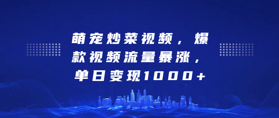 萌宠炒菜视频，爆款视频流量暴涨，单日变现1000+-网赚副业网