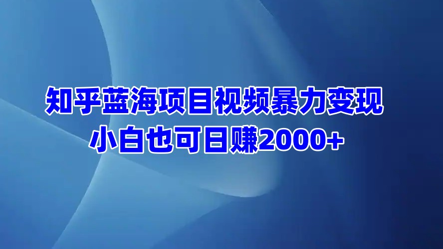 知乎蓝海项目视频暴力变现 小白也可日赚2000+-网赚副业网