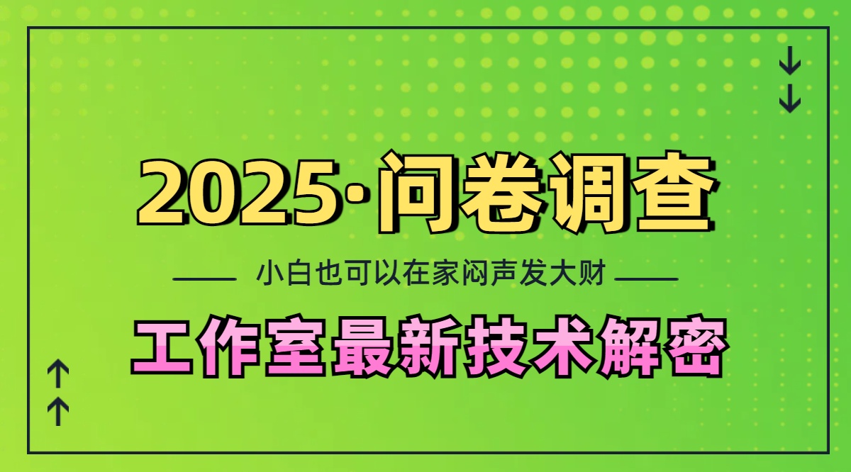 2025《问卷调查》最新工作室技术解密:一个人在家也可以闷声发大财,小白一天200+,可矩阵放大-网赚副业网