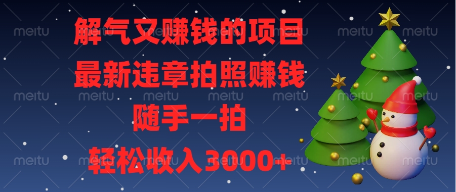 最新违章拍照赚钱，随手一拍，解气又赚钱的项目，轻松收入3000+-网赚副业网