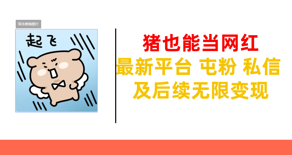 猪也能当网红-最新平台 屯粉 交流 私信 及后续无限变现-网赚副业网