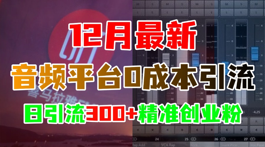 12月最新:音频平台0成本引流,日引300+精准创业粉-网赚副业网