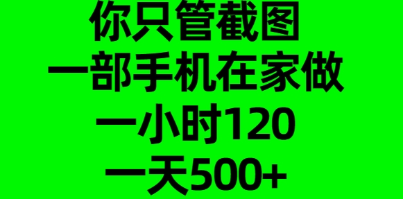 你只管截图，一部手机在家做，一小时120，一天500+-网赚副业网