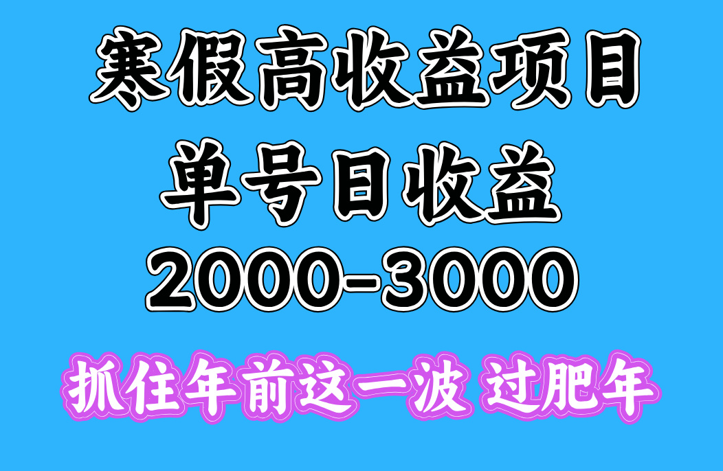 寒假期间一天收益2000-3000+,抓住年前这一波-网赚副业网